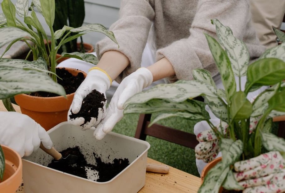 Gardening team preparing tools before a job in London